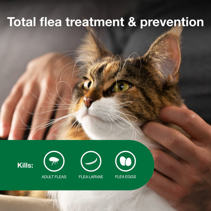 Advantage II Large Cat Vet-Recommended Flea Treatment & Prevention | Cats Over 9 lbs. | 4-Month Supply 4-Pack Large Cat only