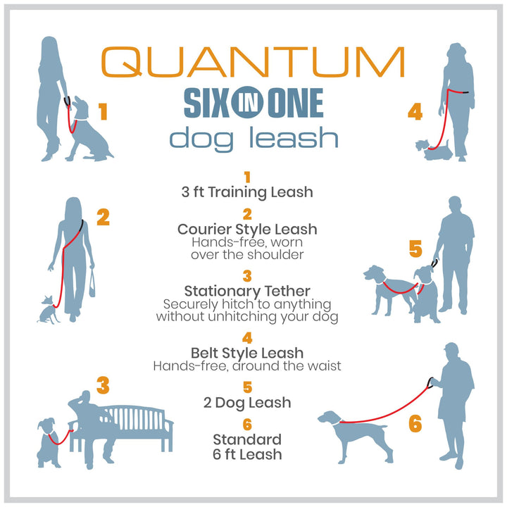 Kurgo 6 in 1 Quantum Leash, Hands Free Leash for Dogs, Running Belt Lead, Crossbody & Waist Belt Style, Reflective, Carabiner Clip, for Training, Hiking, or Jogging, 4 Colors,Violet Violet