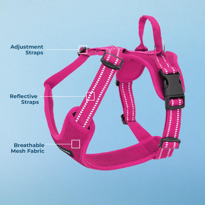 Air Frontier Mesh Dog Harness with Steel Leash D-Ring, Reflective Stitching, and Lightweight Breathable No-Pull Design, Adjustable Neck and Chest Straps for Small to Large Breeds - FSW, M