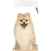 Healthy Breeds Pomeranian Oatmeal Shampoo with Aloe 16 oz Oatmeal 16 oz