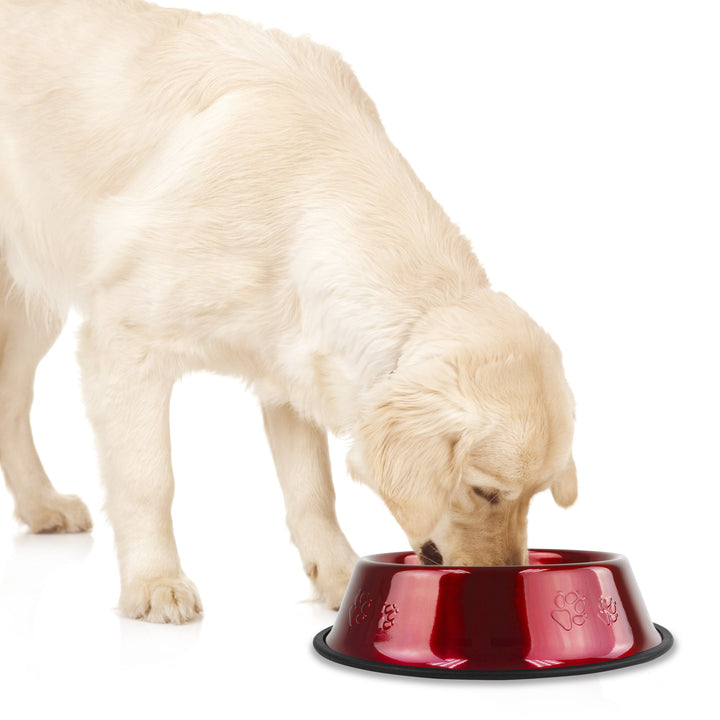 Platinum Pets Non-tip Stainless Steel Dog Bowl, 50 oz, Red