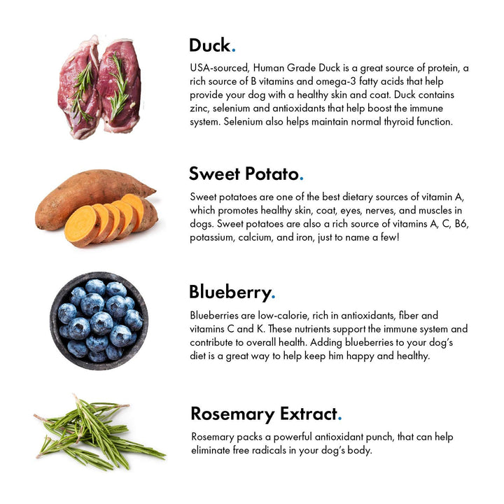Premium Dog Treats | 100% Human Grade | USA Made | Grain Free | Duck and Blueberry 12 oz. Duck & Blueberry 12 Ounce (Pack of 1)