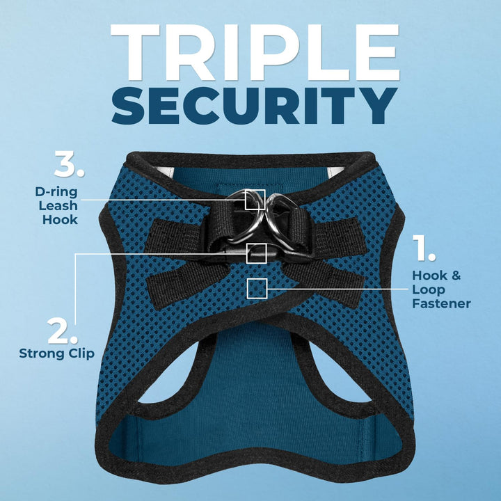 Voyager Step-In Air Dog Harness - All Weather Mesh Step in Vest Harness for Small and Medium Dogs by Best Pet Supplies - Blue Base, L Harness (Blue/Black Trim) L (Chest: 18 - 20.5")