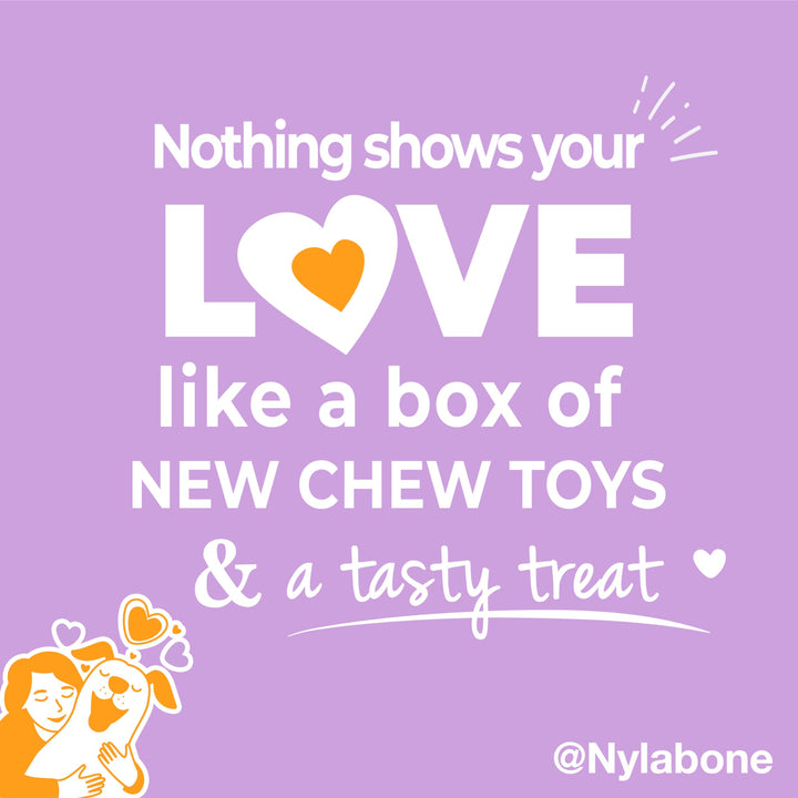 Nylabone Dog Gift Box for Small Dogs - 3 Strong Chew Toys and 1 Dog Treat - Flavor Variety, Small/Regular (4 Count)