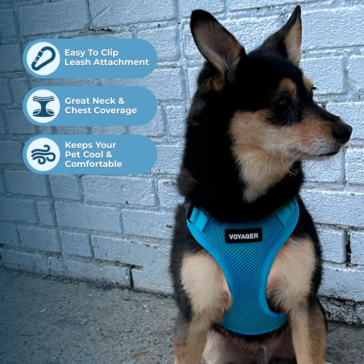 Voyager Step-in Lock Pet Harness - All Weather Mesh, Adjustable Step in Harness for Cats and Dogs by Best Pet Supplies - Turquoise, XS Harness (Turquoise) XS (Chest: 13 - 16")