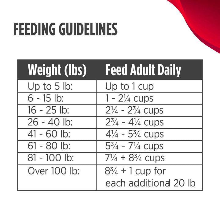Nulo Freestyle Freeze-Dried Raw, Ultra-Rich Grain-Free Dry Dog Food for All Breeds and Life Stages with BC30 Probiotic for Digestive and Immune Health 13 Ounce (Pack of 1) Lamb 13 Fl Oz (Pack of 1)