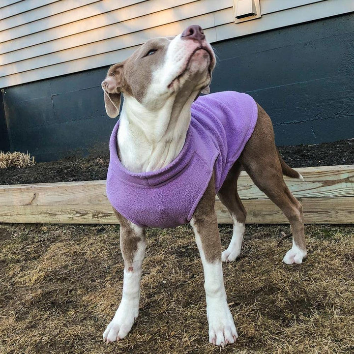 Gooby Stretch Fleece Vest Dog Sweater - Lavender, Large - Warm Pullover Fleece Dog Jacket - Winter Dog Clothes for Small Dogs Boy or Girl - Dog Sweaters for Small Dogs to Dog Sweaters for Large Dogs Large Length (13.5")