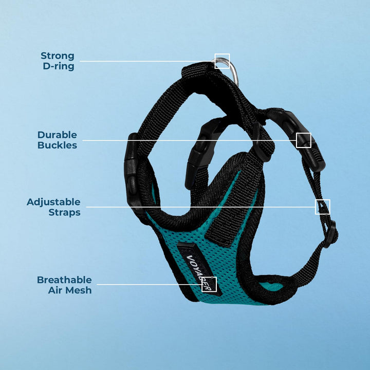 Voyager Step-in Lock Pet Harness - All Weather Mesh, Adjustable Step in Harness for Cats and Dogs by Best Pet Supplies - Turquoise/Black Trim, S Harness (Turquoise/Black Trim) S (Chest: 15 - 18")