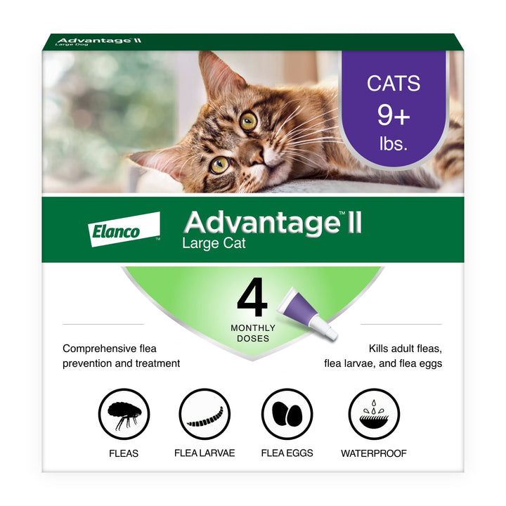 Advantage II Large Cat Vet-Recommended Flea Treatment & Prevention | Cats Over 9 lbs. | 4-Month Supply 4-Pack Large Cat only