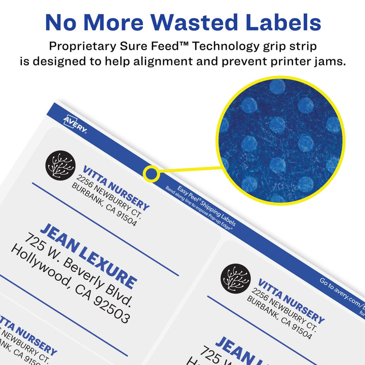 Avery Printable Shipping Labels with Sure Feed, 2" x 4", Matte Clear, 250 Blank Mailing Labels (8663) 1 Pack