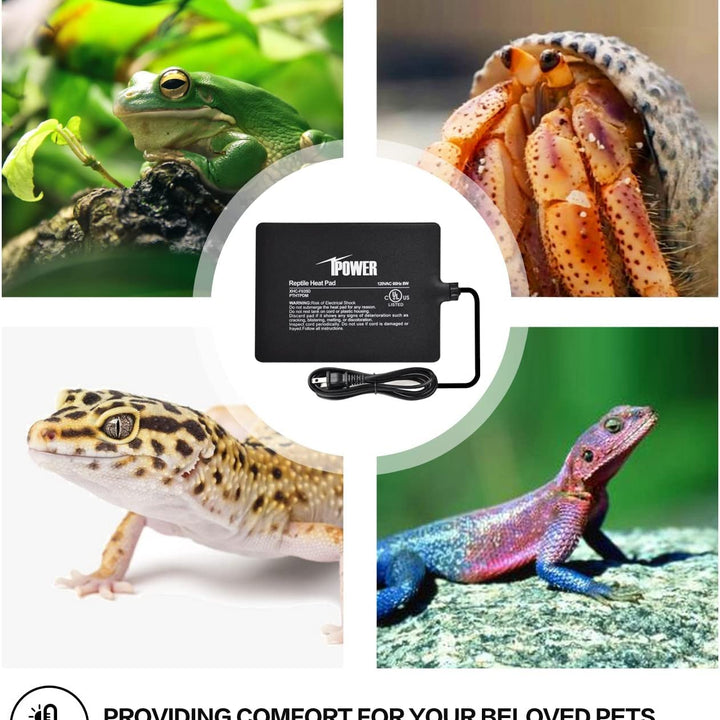 iPower Reptile Heat Pad Under Tank Terrarium Warmer Heating Mat for Turtle, Lizard, Frog, Snake, Reptile, and Other Small Animals, 6X8 Inch, 8W, 2 Pack 6 X 8 Inch