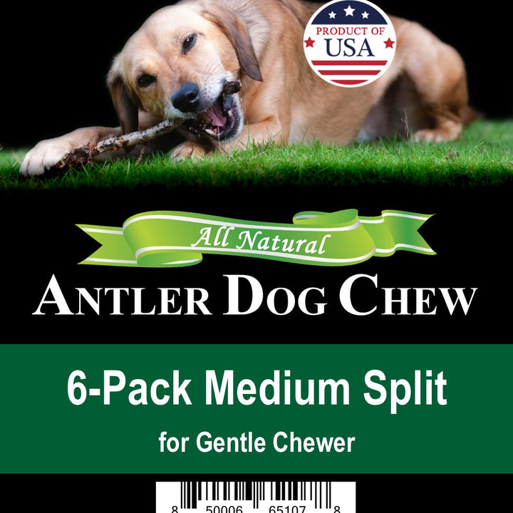 Elk Antler Chews for Dogs | Naturally Shed USA Collected Elk Antlers | All Natural A-Grade Premium Elk Antler Dog Chews | Product of USA, 6-Pack Medium Split 6 Count (Pack of 1)