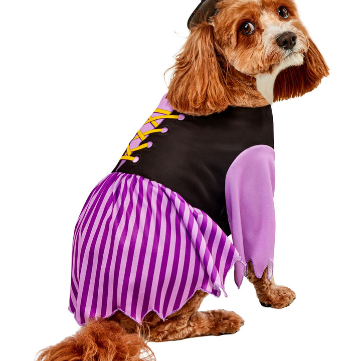 Rubies Witch Fun and Cute Pet Costume Dress and Hat for Themed Party and Halloween, Medium As Shown