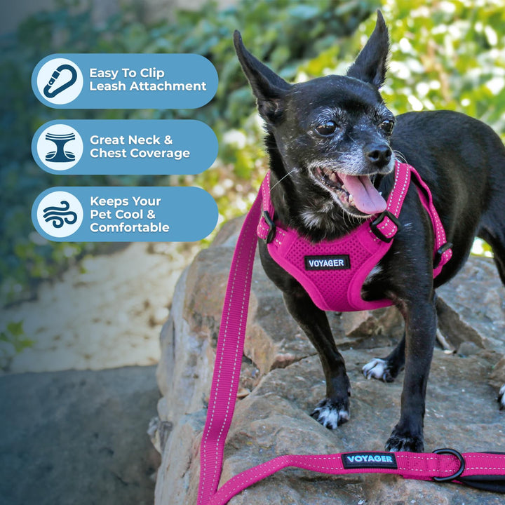 Best Pet Supplies Voyager Adjustable Dog Harness with Reflective Stripes for Walking, Jogging, Heavy-Duty Full Body No Pull Vest with Leash D-Ring, Breathable All-Weather - Harness Only (Fuchsia), S Harness (Fuchsia) S (Chest: 15 - 18")