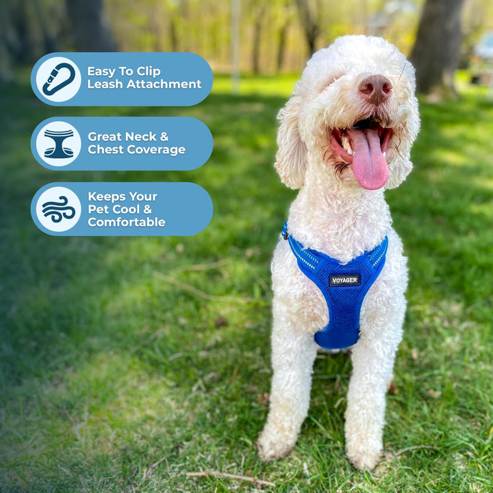 Best Pet Supplies Voyager Adjustable Dog Harness with Reflective Stripes for Walking, Jogging, Heavy-Duty Full Body No Pull Vest with Leash D-Ring, Breathable All-Weather - Harness (Royal Blue), XS Harness (Royal Blue) XS (Chest: 13 - 16")