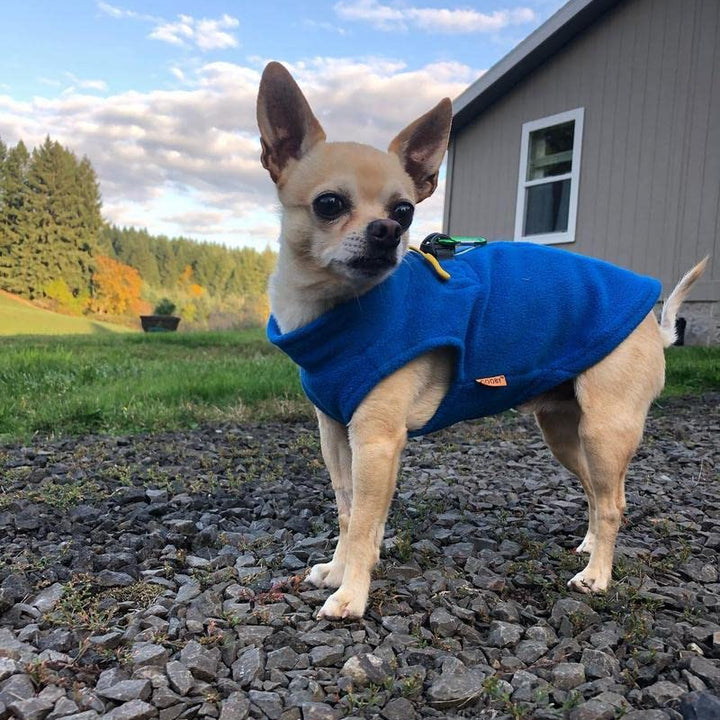 Gooby Zip Up Fleece Dog Sweater - Blue, Small - Warm Pullover Fleece Step-in Dog Jacket with Dual D Ring Leash - Winter Small Dog Sweater - Dog Clothes for Small Dogs Boy and Medium Dogs Small chest (~13.5")