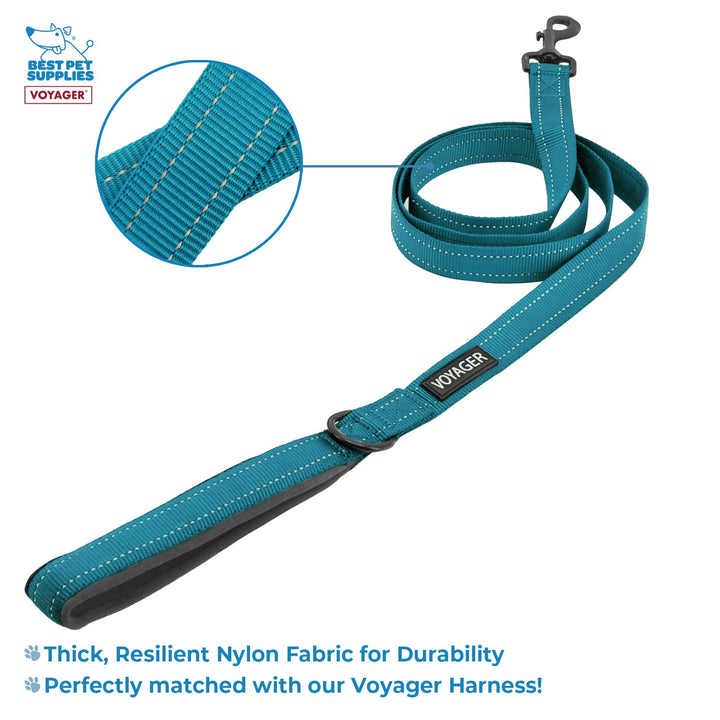 Best Pet Supplies Voyager Adjustable Dog Harness Leash Set with Reflective Stripes for Walking Heavy-Duty Full Body No Pull Vest with Leash D-Ring, Breathable All-Weather - Harness (Turquoise), L Harness Leash Set (Turquoise) L (Chest: 20 - 25")