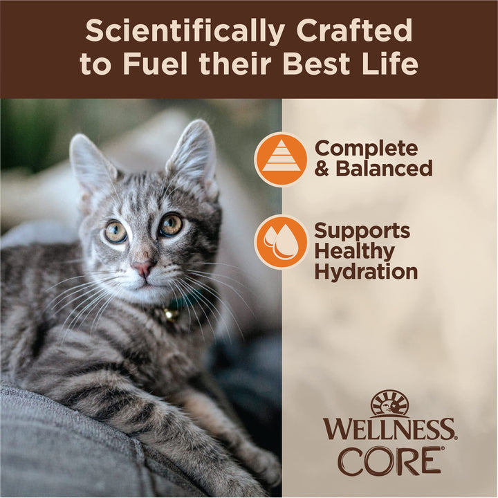 Wellness CORE Tiny Tasters Wet Cat Food, Complete & Balanced Natural Pet Food, Made with Real Meat, 1.75-Ounce Pouch, 12 Pack (Adult Cat, Minced Chicken in Gravy) 1.75 Ounce (Pack of 12)