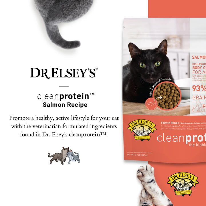 Dr. Elsey's Cleanprotein Salmon Formula Dry Cat Food, 6.6 Lb 6.6 Pound (Pack of 1)