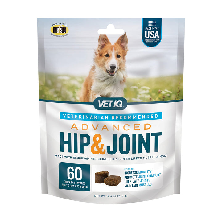 VetIQ Advanced Hip & Joint Chews For Dogs, 60 Count, Chicken Flavored Supplements Made with Glucosamine, Omega 3’s, Chondroitin, MSM, and Green Lipped Mussel, Increases Mobility and Maintains Muscles Advanced Strength 7.4 Ounce (Pack of 1)