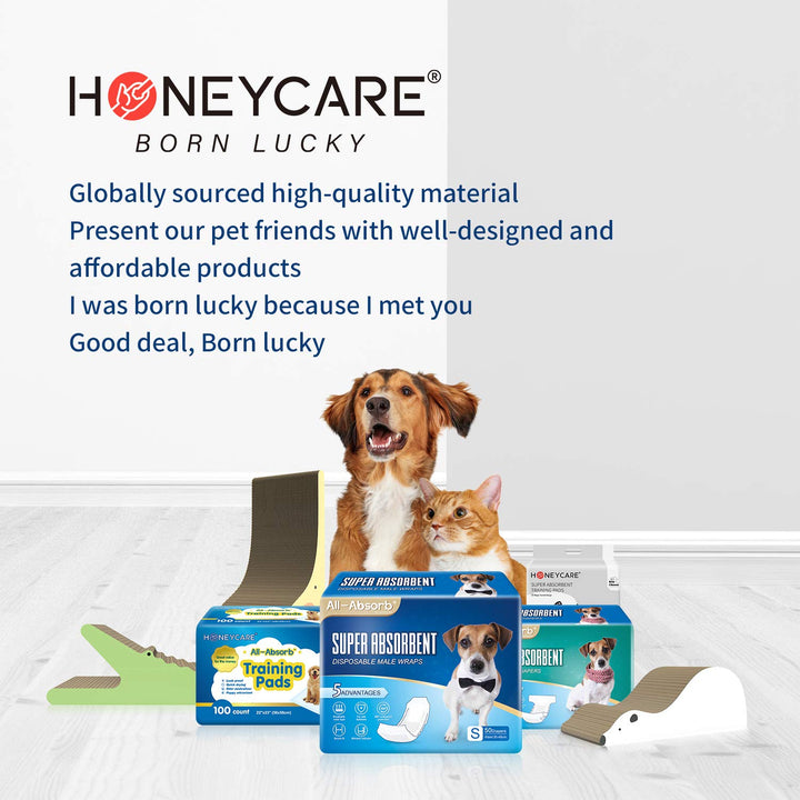 HONEY CARE All-Absorb, XXL 30"x36", 30 Count, Dog and Puppy Training Pads, Ultra Absorbent and Odor Eliminating, Leak-Proof 5-Layer Potty Training Pads with Quick-Dry Surface, Blue, A39 2X-Large - 30" x 36"