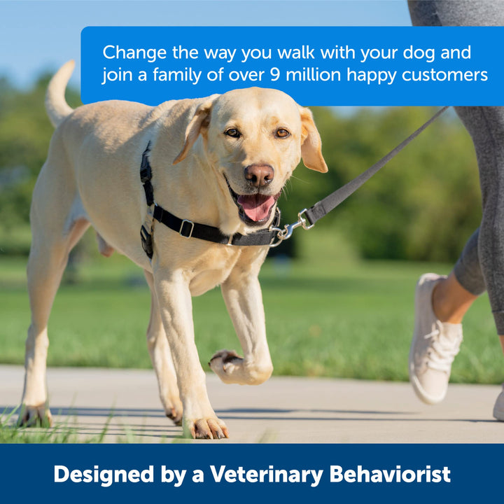 PetSafe Easy Walk Dog Harness - Stop Pulling & Teach Leash Manners - Prevent Pulling on Walks - Medium, Charcoal/Black