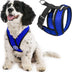 Gooby Comfort X Head In Harness - Blue, Medium - No Pull Small Dog Harness, Patented Choke-Free X Frame - Perfect on the Go Dog Harness for Medium Dogs No Pull or Small Dogs for Indoor and Outdoor Use Medium Chest (14.25-18.75")