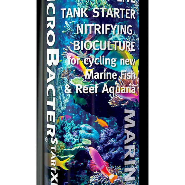 Brightwell Aquatics MicroBacter Start XLM – Live Bacteria Tank Starter Rapidly Establishes Biological Filtration in New Marine & Reef Aquariums, 250-ML