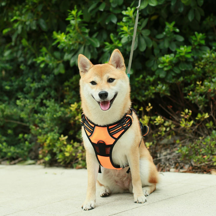Dog Harness Dual Leash Attachment No-Pull Control Adjustable Soft but Strong Pet Harness For Medium And Large Dogs With 3M Reflective Technology - Orange, XS (Chest: 13 - 16") XS (Chest: 13 - 16") Harness (Orange Nylon)