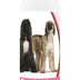 Healthy Breeds Afghan Hound Deodorizing Shampoo 16 oz