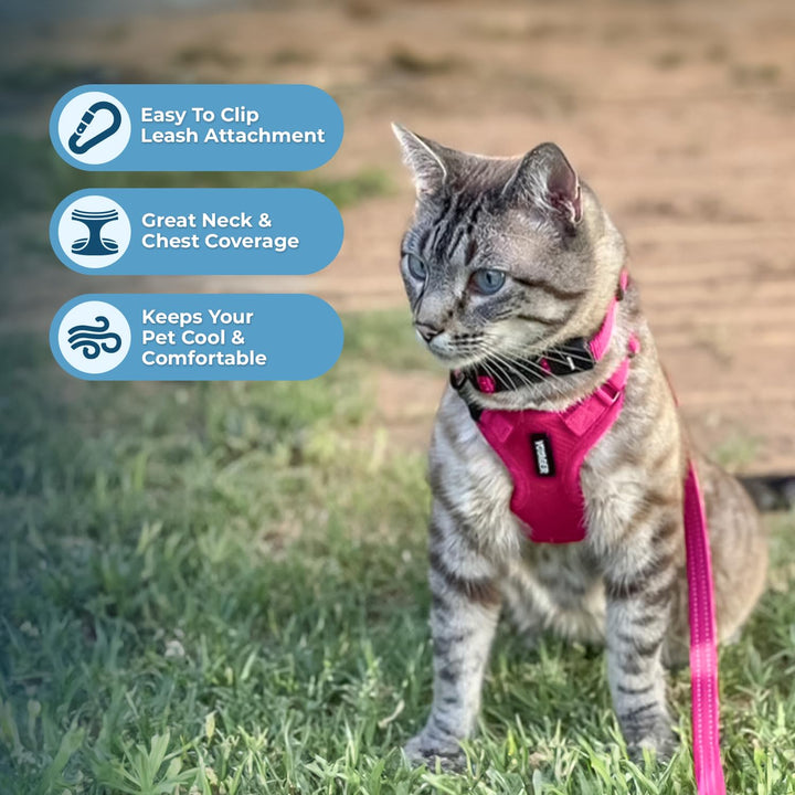 Voyager Step-in Lock Cat Harness w Reflective Cat Leash Combo Set with Neoprene Handle 5ft - Supports Small, Medium and Large Breed Cats by Best Pet Supplies - Fuchsia, XXXS Harness Leash Set (Fuchsia) XXXS (Chest: 10.5 - 13" * Fit Cats)