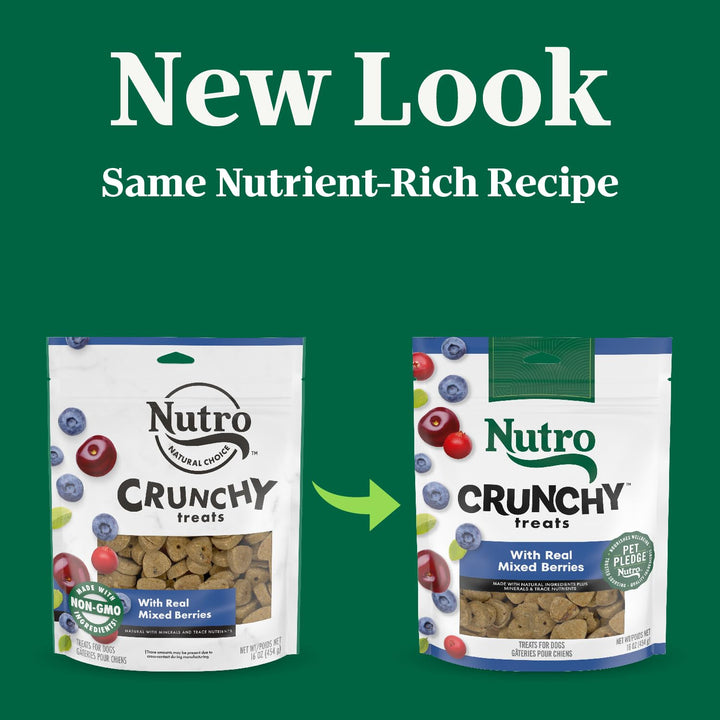 NUTRO Crunchy Dog Treats with Real Mixed Berries, 10 oz. Bag 10 Ounce (Pack of 1)