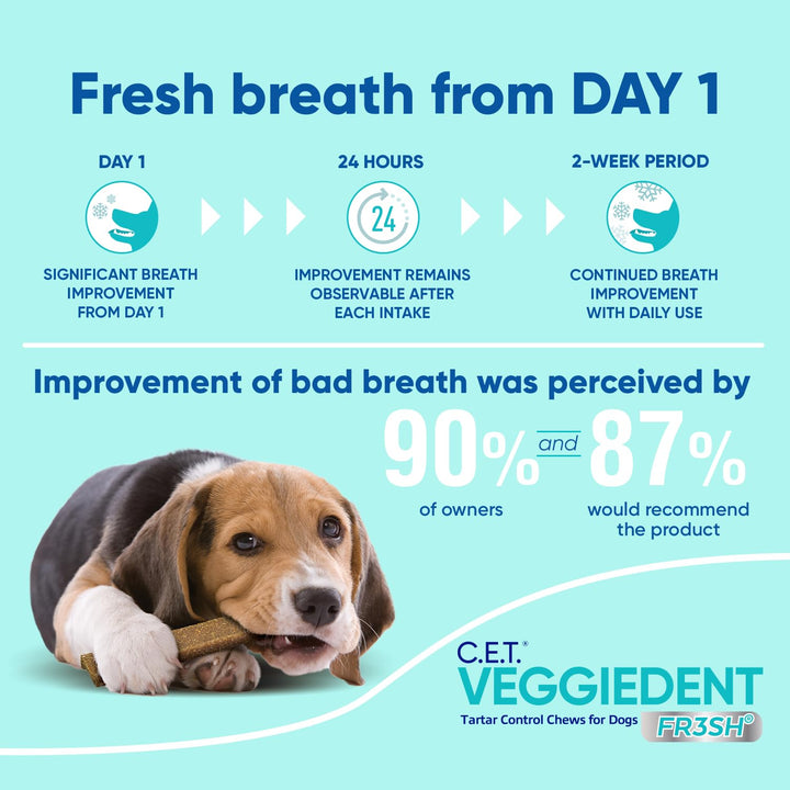 Virbac CET VEGGIEDENT FR3SH Tartar Control Chews for Dogs, Small, Beef, 1.1 pounds