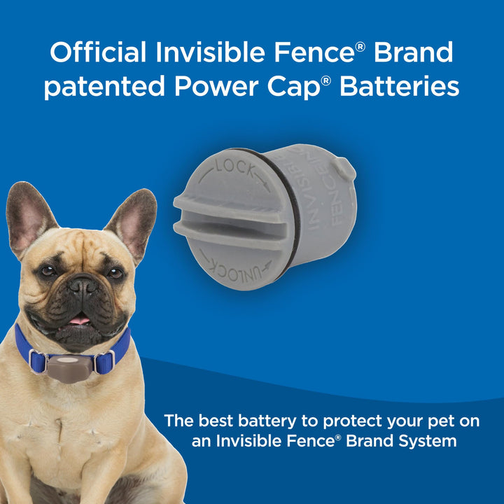 BRAND Power Cap Batteries for MicroLite and MicroLite Plus Computer Collar Units – Also compatible with MaxDog and MaxDog Plus Invisible Fence Dog Collars - 1 Pack