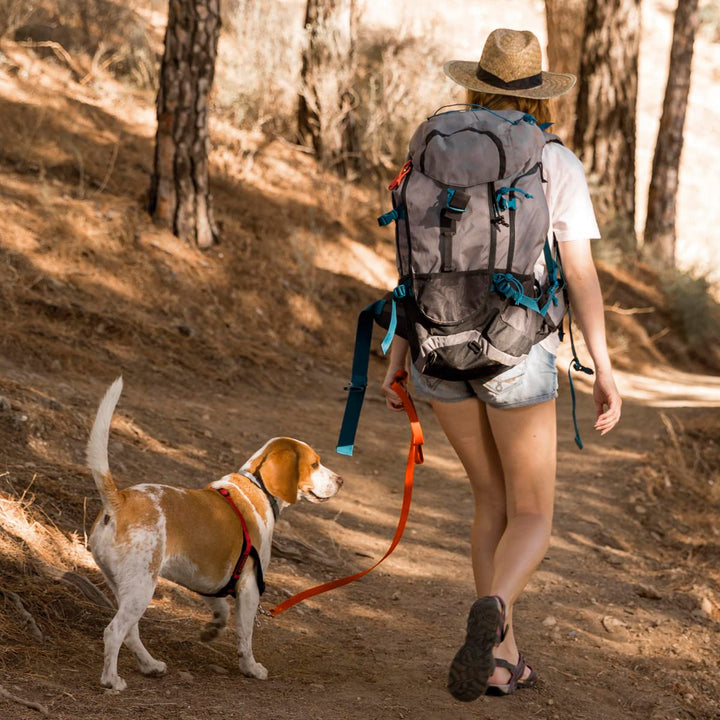 Viper Biothane Working Tracking Lead Leash Long Line for Dogs 2 Colors and 6 Sizes, 3/4" x 15ft, Hunter Orange