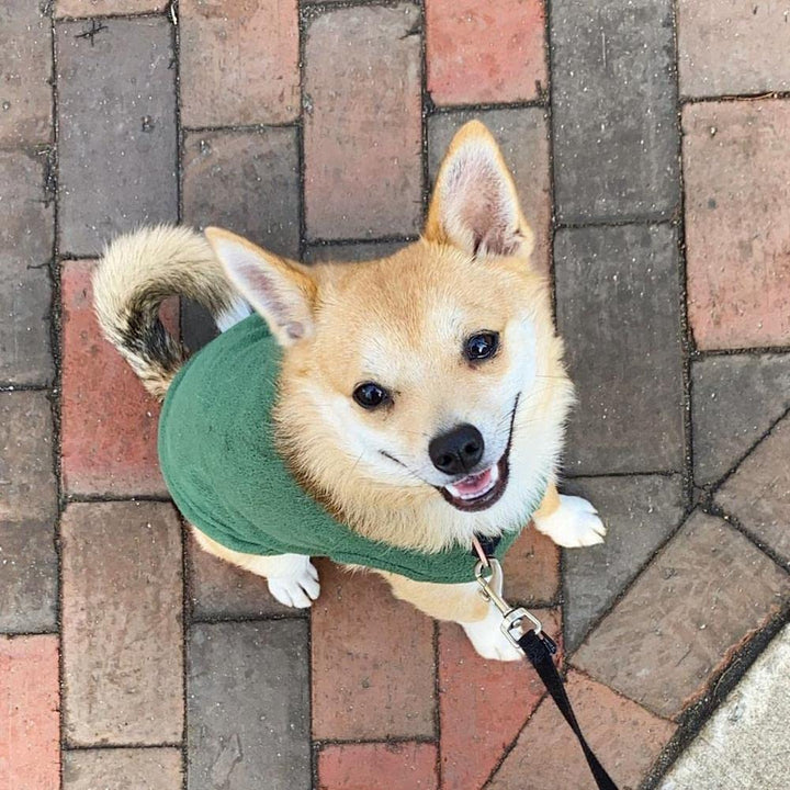 Gooby Stretch Fleece Vest Dog Sweater - Forest Green, Small - Warm Pullover Fleece Dog Jacket - Winter Dog Clothes for Small Dogs Boy - Dog Sweaters for Small Dogs to Dog Sweaters for Large Dogs Small Length (9")