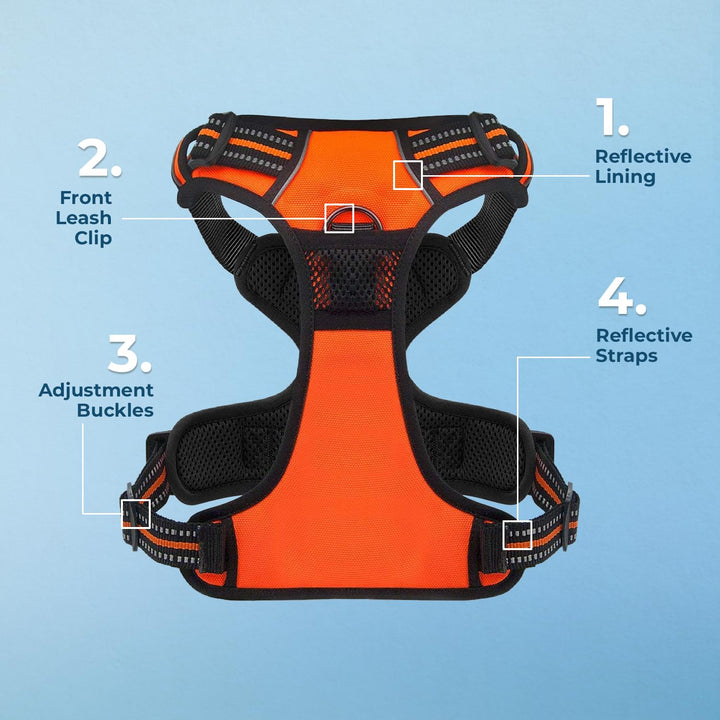 Dog Harness Dual Leash Attachment No-Pull Control Adjustable Soft but Strong Pet Harness For Medium And Large Dogs With 3M Reflective Technology - Orange, XS (Chest: 13 - 16") XS (Chest: 13 - 16") Harness (Orange Nylon)