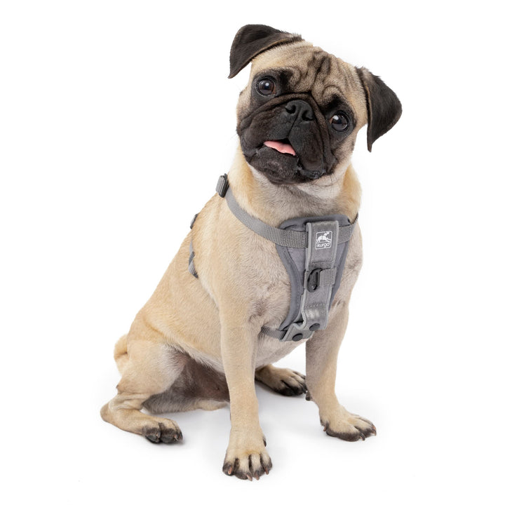 Kurgo Tru-Fit Quick Release Dog Harness - Durable, Everyday Harness for Dogs - Hiking, Walking, Running - Reflective, Quick Release Buckles - Includes Pet Seatbelt - No Pull Training - Gray, XS Grey X-Small