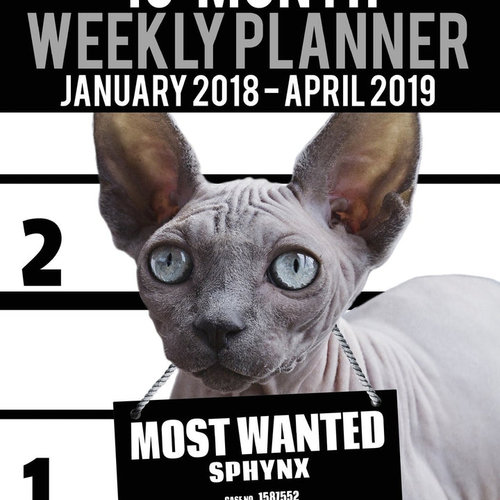 2018-2019 Weekly Planner - Most Wanted Sphynx: Daily Diary Monthly Yearly Calendar Large 8.5" x 11" Schedule Journal Organizer (Cat Planners 2018-2019)