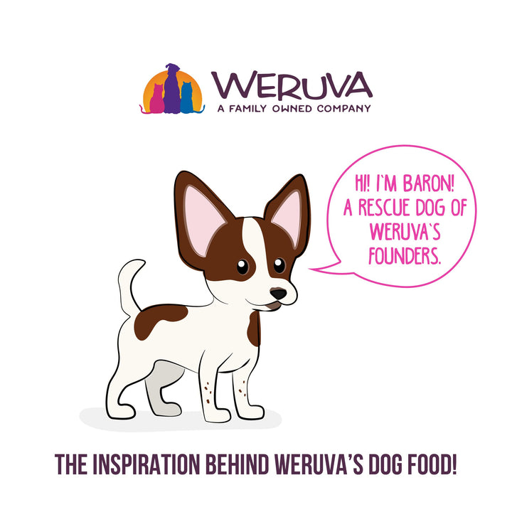 Weruva Best Fido Friend Fun Size Meals for Dogs, Picky Pooch Picnic Variety Pack, 2.75oz Cup (Pack of 8)