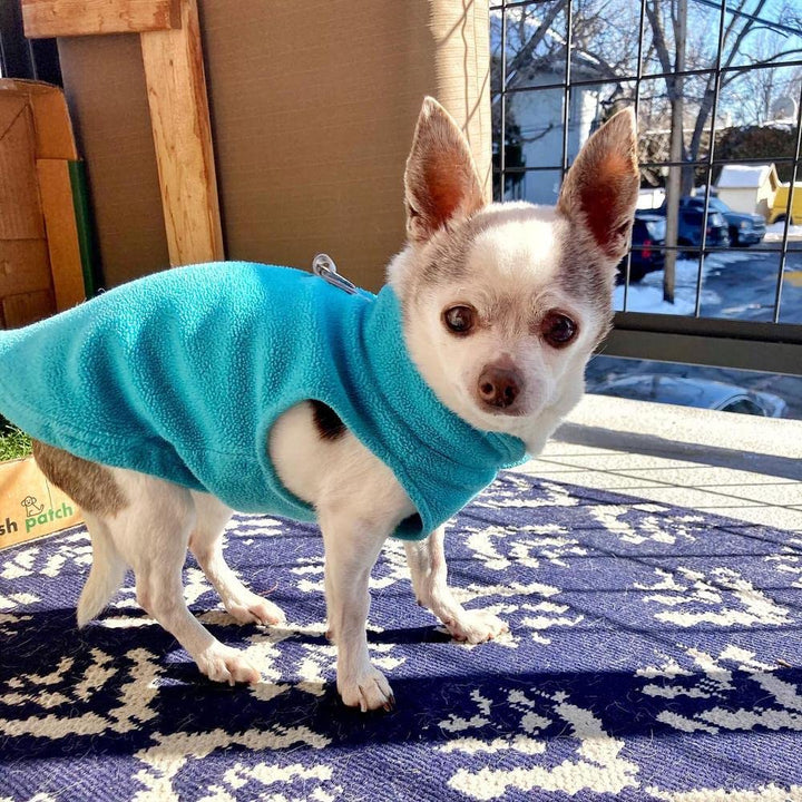 Gooby Fleece Vest Dog Sweater - Turquoise, Large - Warm Pullover Fleece Dog Jacket with O-Ring Leash - Winter Small Dog Sweater Coat - Cold Weather Dog Clothes for Small Dogs Boy or Girl Large (Around 18-lb)