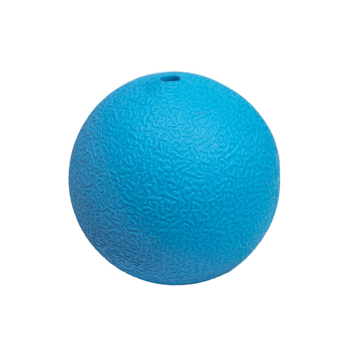 Basics Squeaker Toy Dog Balls, 3-Inch, 2-Pack, Blue, Orange Squeaker Balls (Pack of 2) 3 inch