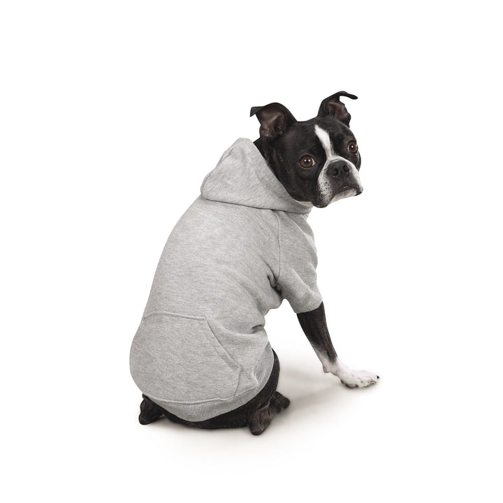 Zack & Zoey Basic Hoodie for Dogs, 30" XX-Large, Heather Gray