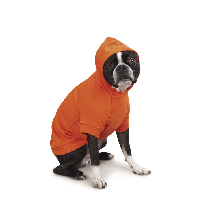 Zack & Zoey Basic Hoodie for Dogs, 20" Large, Vibrant Orange L (Neck: 17", Girth: 28", Back: 20")