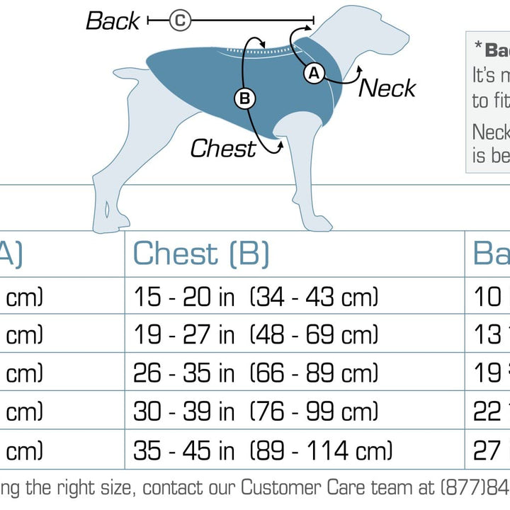 Kurgo Loft Dog Jacket, Reversible Dog Coat, Wear with Harness or Sweater, Water Resistant, Reflective, Winter Coat For Medium Dogs (Fall Festival, M)