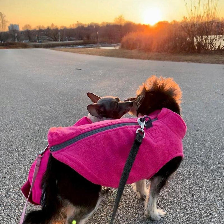 Gooby Zip Up Fleece Dog Sweater - Pink, Large - Warm Pullover Fleece Step-in Dog Jacket with Dual D Ring Leash - Winter Small Dog Sweater - Dog Clothes for Small Dogs Boy and Medium Dogs Large chest (~20")