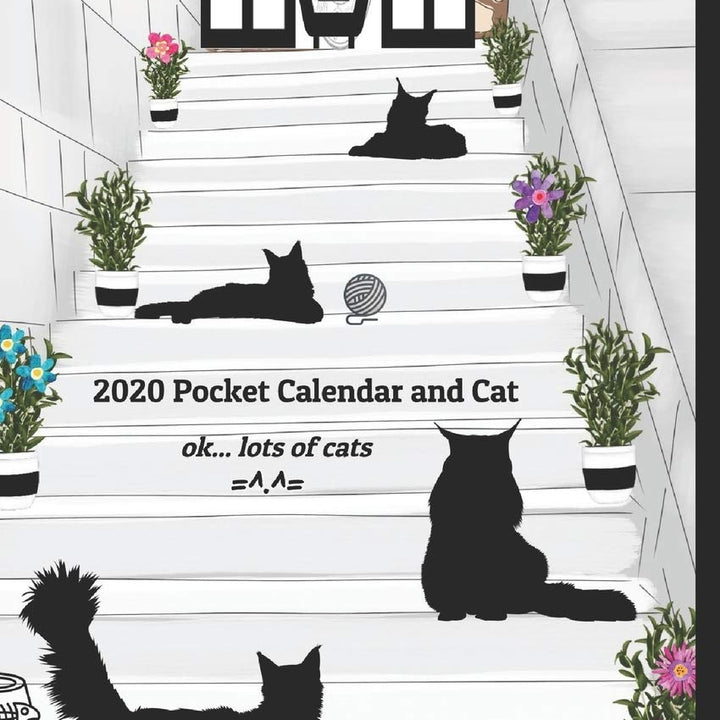 2020 Pocket Calendar and Cat: 5" x 8" Pocket sized monthly overview Calendar & weekly planner themed with Maine Coon Cat silhouettes | Additional ... passwords & fun game for coffee outings.