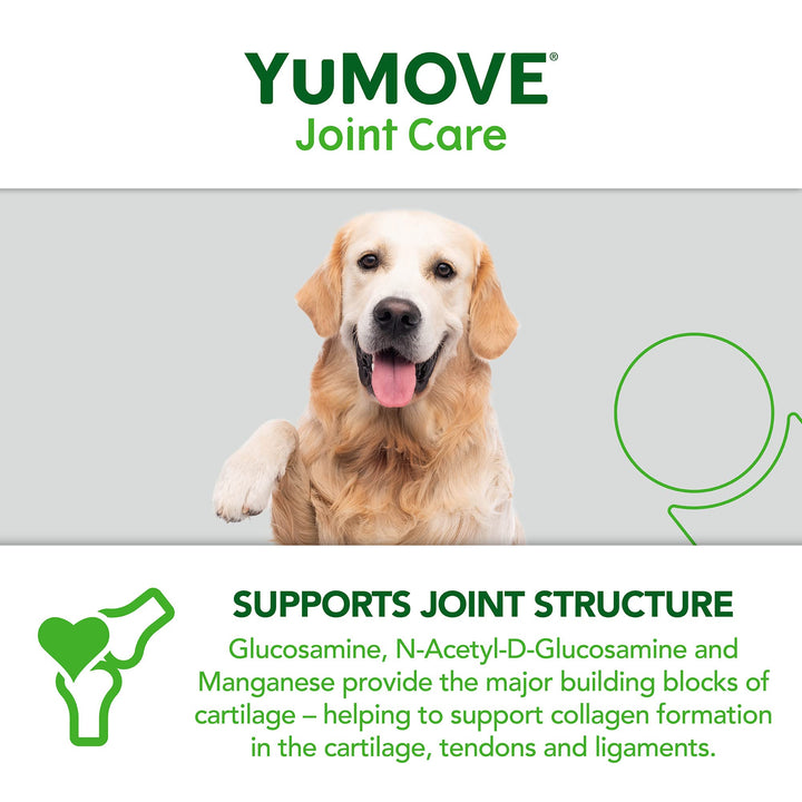 YuMOVE Senior Dog Tablets | Higher Strength Hip and Joint Supplement for Dogs with Glucosamine, Hyaluronic Acid, Green Lipped Mussel | Dogs Aged 8+ | 240 Tablets