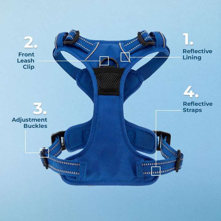 Voyager Dog Harness Dual Leash Attachment No-Pull Control Adjustable Soft but Strong Pet Harness for Medium and Large Dogs with 3M Reflective Technology - Royal Blue Lattice, XL (Chest: 28 - 37") XL (Chest: 28 - 37") Harness (Royal Blue Lattice Nylon)