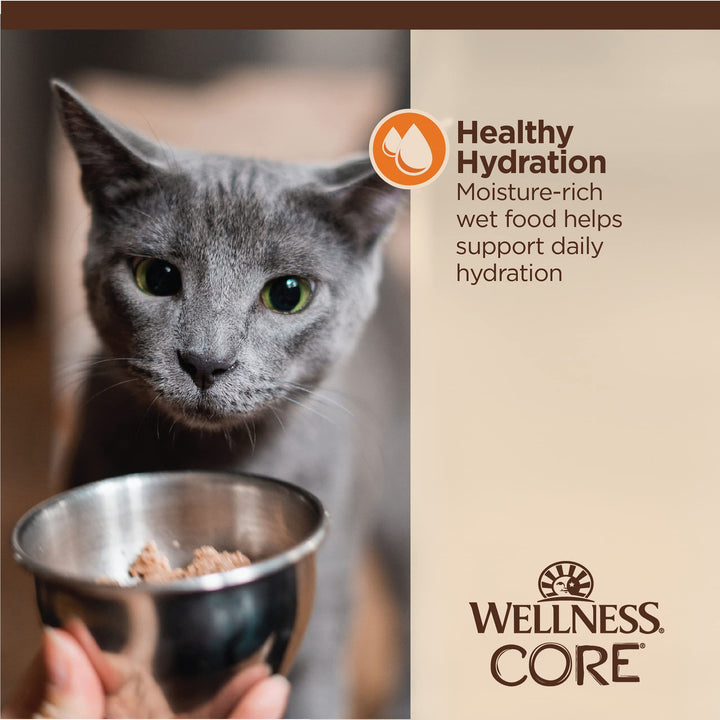 Wellness CORE Tiny Tasters Wet Cat Food, Complete & Balanced Natural Pet Food, Made with Real Meat, 1.75-Ounce Pouch, 12 Pack (Adult Cat, Minced Chicken in Gravy) 1.75 Ounce (Pack of 12)